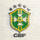 巴西国家队标志，五星巴西绿色黄色徽章